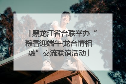 黑龙江省台联举办“粽香迎端午·龙台情相融”交流联谊活动