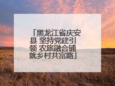 黑龙江省庆安县 坚持党建引领 农旅融合铺就乡村共富路