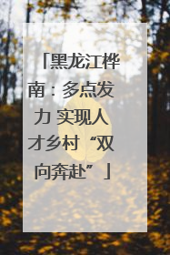 黑龙江桦南：多点发力 实现人才乡村“双向奔赴”