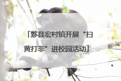 黟县宏村镇开展“扫黄打非”进校园活动