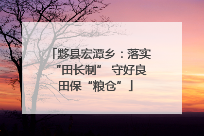 黟县宏潭乡：落实“田长制” 守好良田保“粮仓”