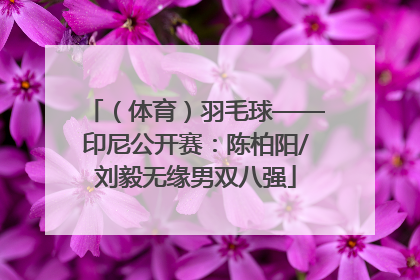 （体育）羽毛球——印尼公开赛：陈柏阳/刘毅无缘男双八强