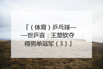 （体育）乒乓球——世乒赛：王楚钦夺得男单冠军（3）