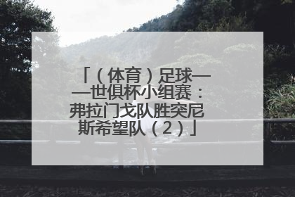 （体育）足球——世俱杯小组赛：弗拉门戈队胜突尼斯希望队（2）