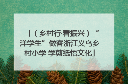 （乡村行·看振兴）“洋学生”做客浙江义乌乡村小学 学剪纸悟文化