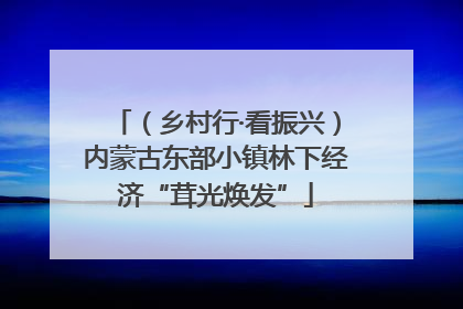 （乡村行·看振兴）内蒙古东部小镇林下经济“茸光焕发”
