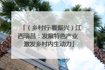 （乡村行·看振兴）江西瑞昌：发展特色产业 激发乡村内生动力