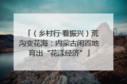 （乡村行·看振兴）荒沟变花海：内蒙古闲置地育出“花漾经济”