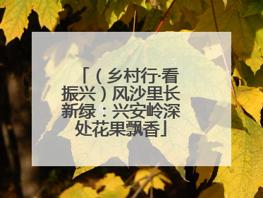 （乡村行·看振兴）风沙里长新绿：兴安岭深处花果飘香