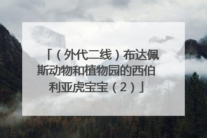 （外代二线）布达佩斯动物和植物园的西伯利亚虎宝宝（2）
