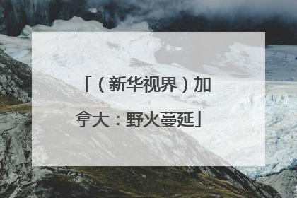 （新华视界）加拿大：野火蔓延