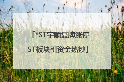 *ST宇顺复牌涨停 ST板块引资金热炒