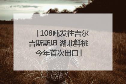 108吨发往吉尔吉斯斯坦 湖北鲜桃今年首次出口