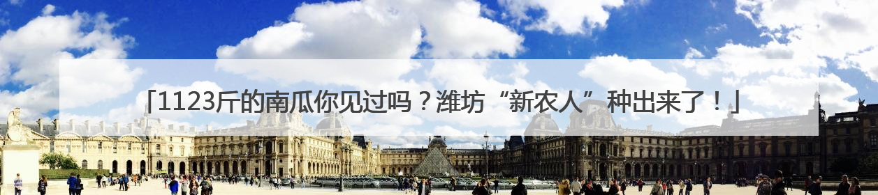 1123斤的南瓜你见过吗？潍坊“新农人”种出来了！