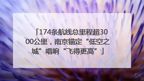 174条航线总里程超3000公里，南京锚定“低空之城”唱响“飞得更高”