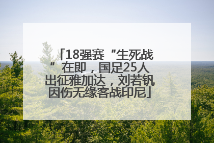 18强赛“生死战”在即，国足25人出征雅加达，刘若钒因伤无缘客战印尼