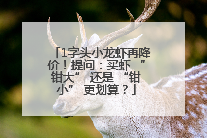 1字头小龙虾再降价！提问：买虾 “钳大” 还是 “钳小” 更划算？