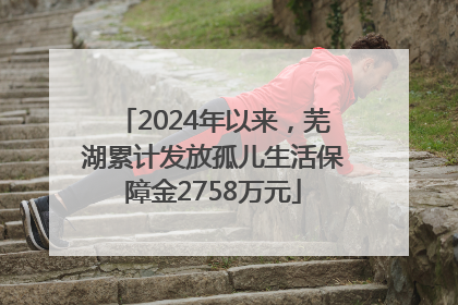 2024年以来，芜湖累计发放孤儿生活保障金2758万元