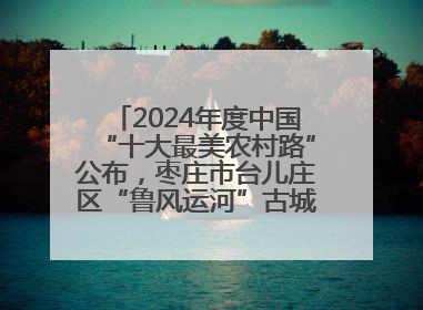 2024年度中国“十大最美农村路”公布，枣庄市台儿庄区“鲁风运河”古城文化廊道上榜！