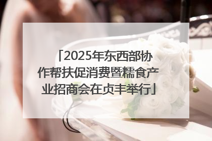 2025年东西部协作帮扶促消费暨糯食产业招商会在贞丰举行