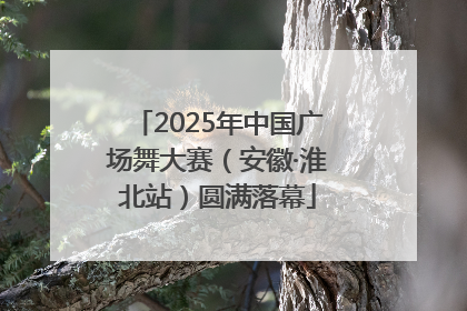 2025年中国广场舞大赛（安徽·淮北站）圆满落幕