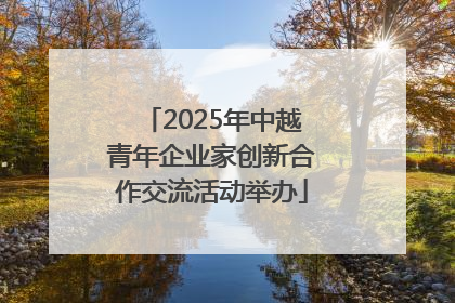 2025年中越青年企业家创新合作交流活动举办