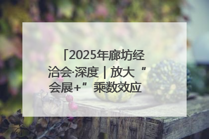 2025年廊坊经洽会·深度｜放大“会展+”乘数效应 打造消费新场景