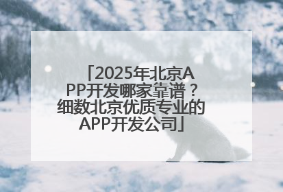 2025年北京APP开发哪家靠谱？细数北京优质专业的APP开发公司