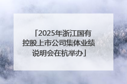 2025年浙江国有控股上市公司集体业绩说明会在杭举办