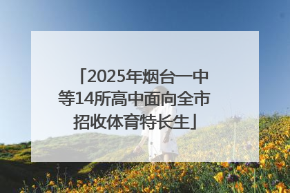 2025年烟台一中等14所高中面向全市招收体育特长生