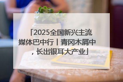 2025全国新兴主流媒体巴中行丨青冈木屑中，长出银耳大产业