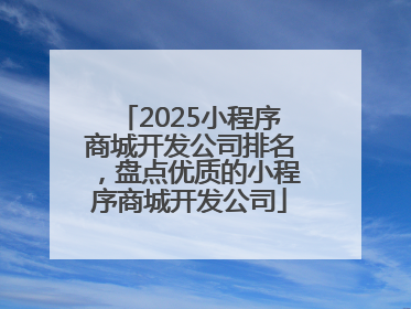2025小程序商城开发公司排名，盘点优质的小程序商城开发公司