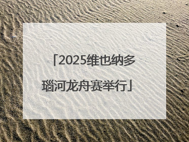2025维也纳多瑙河龙舟赛举行