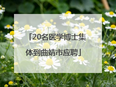 20名医学博士集体到曲靖市应聘