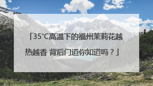 35℃高温下的福州茉莉花越热越香 背后门道你知道吗？