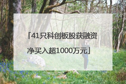 41只科创板股获融资净买入超1000万元