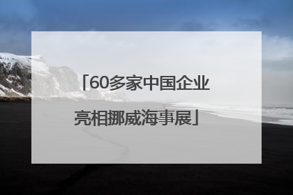 60多家中国企业亮相挪威海事展