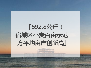 692.8公斤！宿城区小麦百亩示范方平均亩产创新高