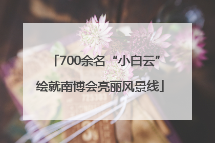 700余名“小白云”绘就南博会亮丽风景线