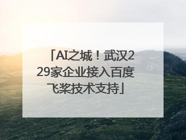 AI之城！武汉229家企业接入百度飞桨技术支持